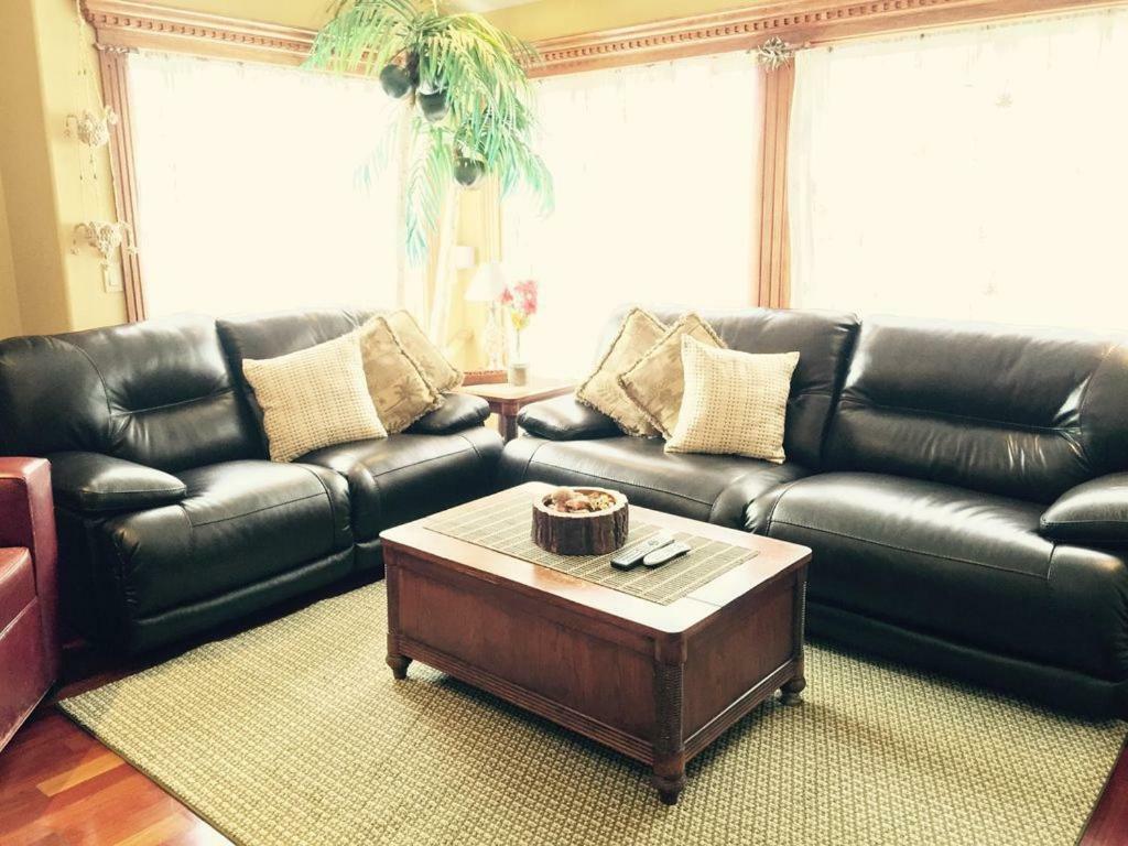 Luxury 5 Bedroom Home Near Sfo 샌 브루노 외부 사진